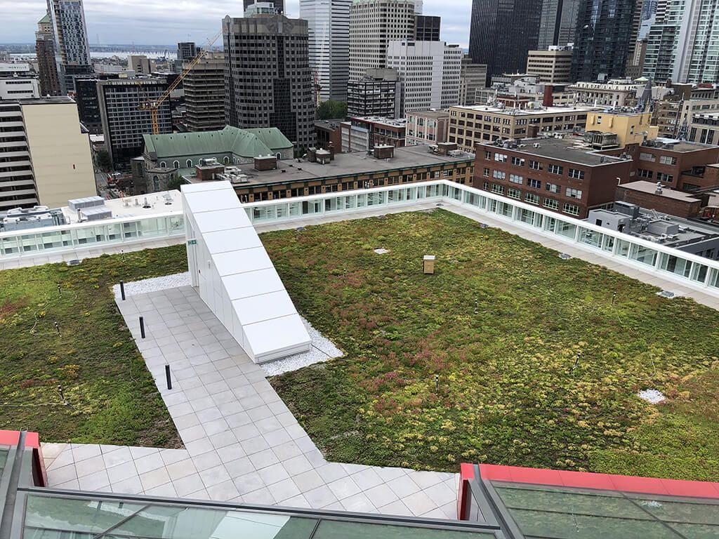Gardens and vegetated roofs